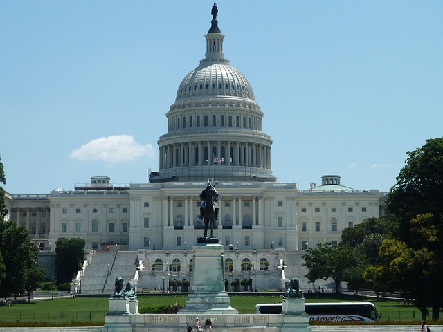 The US Capitol