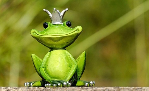 Frog Prince photo